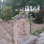 Damiano 코페르티노