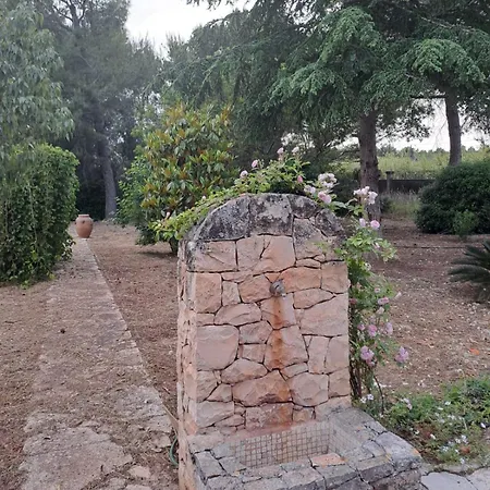 Damiano Bed & Breakfast *