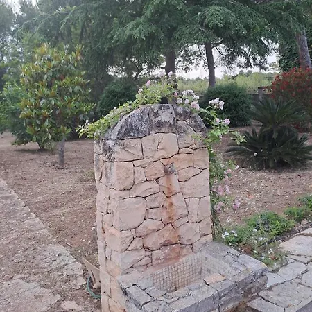 Damiano Copertino