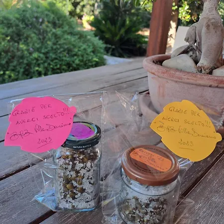 Damiano 4* كوبرتينو